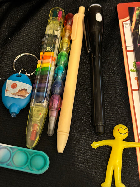 Summer Pencil Case Mystery Pack